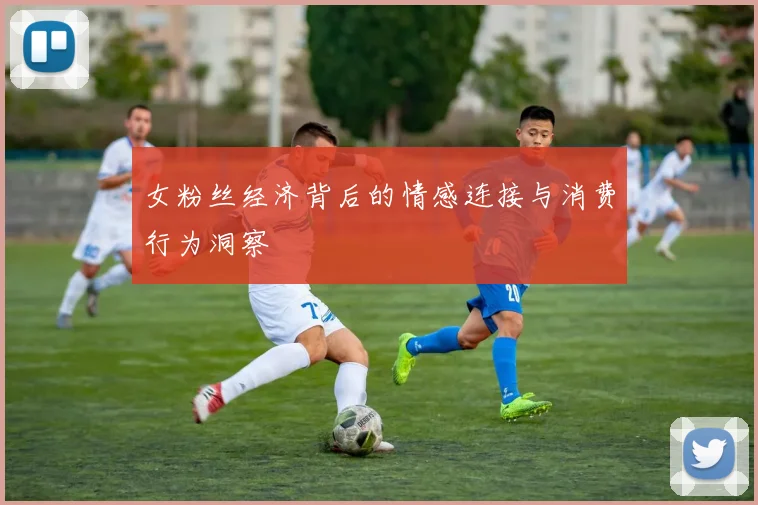 女粉丝经济背后的情感连接与消费行为洞察