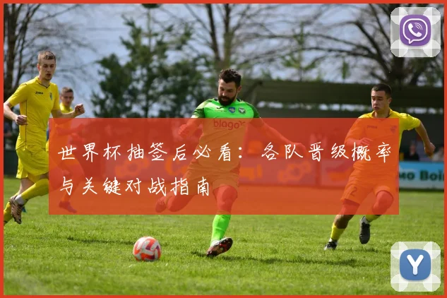 世界杯抽签后必看：各队晋级概率与关键对战指南