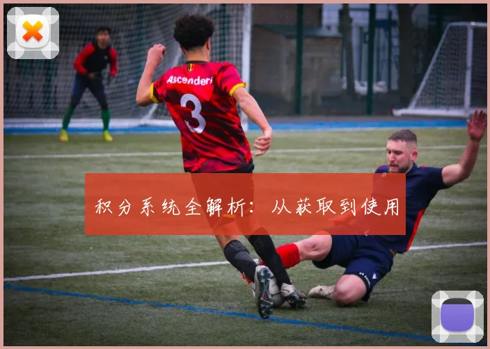 积分系统全解析：从获取到使用